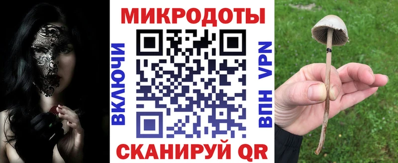 Псилоцибиновые грибы Cubensis  где можно купить   Алапаевск 